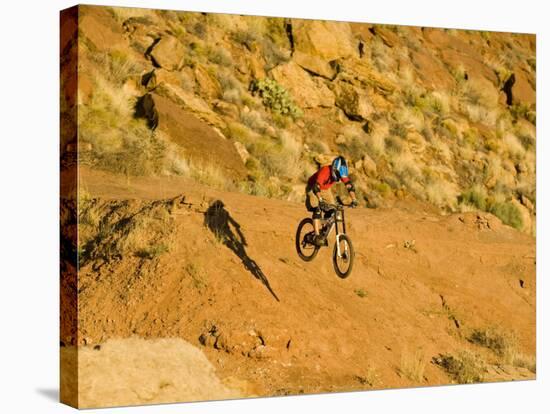 Jumping Mountain Bike, Rockville, Utah, USA-Chuck Haney-Stretched Canvas
