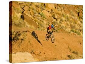 Jumping Mountain Bike, Rockville, Utah, USA-Chuck Haney-Stretched Canvas