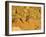 Jumping Mountain Bike, Rockville, Utah, USA-Chuck Haney-Framed Photographic Print