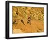 Jumping Mountain Bike, Rockville, Utah, USA-Chuck Haney-Framed Photographic Print