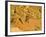 Jumping Mountain Bike, Rockville, Utah, USA-Chuck Haney-Framed Photographic Print