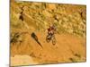 Jumping Mountain Bike, Rockville, Utah, USA-Chuck Haney-Mounted Photographic Print