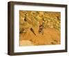 Jumping Mountain Bike, Rockville, Utah, USA-Chuck Haney-Framed Photographic Print