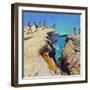 Jumping Off the Rocks, Plates, Skiathos, 2015-Andrew Macara-Framed Giclee Print