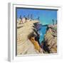 Jumping Off the Rocks, Plates, Skiathos, 2015-Andrew Macara-Framed Giclee Print