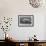Jumping over Three Horses...Chestnut Horse Hornet-Eadweard Muybridge-Framed Giclee Print displayed on a wall
