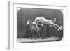 Jumping over Three Horses...Chestnut Horse Hornet-Eadweard Muybridge-Framed Giclee Print