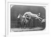 Jumping over Three Horses...Chestnut Horse Hornet-Eadweard Muybridge-Framed Giclee Print