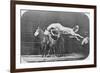 Jumping over Three Horses...Chestnut Horse Hornet-Eadweard Muybridge-Framed Giclee Print