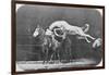 Jumping over Three Horses...Chestnut Horse Hornet-Eadweard Muybridge-Framed Giclee Print