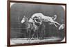 Jumping over Three Horses...Chestnut Horse Hornet-Eadweard Muybridge-Framed Giclee Print