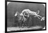 Jumping over Three Horses...Chestnut Horse Hornet-Eadweard Muybridge-Framed Giclee Print