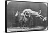 Jumping over Three Horses...Chestnut Horse Hornet-Eadweard Muybridge-Framed Stretched Canvas