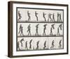 Jumping Over-Eadweard Muybridge-Framed Giclee Print