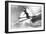 Jumping Skier 1930S-null-Framed Photographic Print