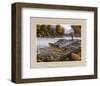 Jumping Trout-null-Framed Art Print