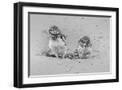 Black Frame