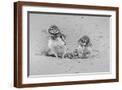 Brown Frame