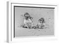 White Frame