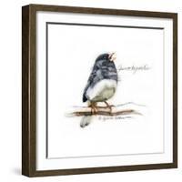 JUNCO #2-BRUCE DEAN-Framed Art Print