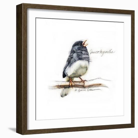 JUNCO #2-BRUCE DEAN-Framed Art Print