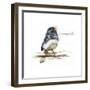 JUNCO #2-BRUCE DEAN-Framed Art Print