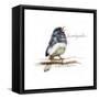 JUNCO #2-BRUCE DEAN-Framed Stretched Canvas