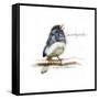 JUNCO #2-BRUCE DEAN-Framed Stretched Canvas