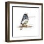 JUNCO #2-BRUCE DEAN-Framed Art Print