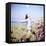 June 1956: Woman Modeling Beach Fashions in Cuba-Gordon Parks-Framed Stretched Canvas