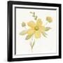 June Bloom II-Silvia Vassileva-Framed Art Print