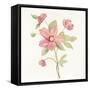 June Bloom III-Silvia Vassileva-Framed Stretched Canvas