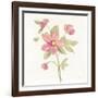 June Bloom III-Silvia Vassileva-Framed Art Print