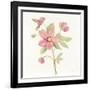 June Bloom III-Silvia Vassileva-Framed Art Print