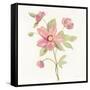 June Bloom III-Silvia Vassileva-Framed Stretched Canvas