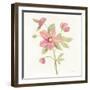 June Bloom III-Silvia Vassileva-Framed Art Print