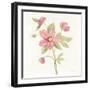 June Bloom III-Silvia Vassileva-Framed Art Print