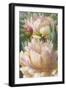 June Blooms-Elizabeth Horning-Framed Giclee Print