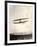 June Bug Aeroplane, 1908-Miriam and Ira Wallach-Framed Photographic Print