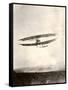 June Bug Aeroplane, 1908-Miriam and Ira Wallach-Framed Stretched Canvas