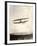 June Bug Aeroplane, 1908-Miriam and Ira Wallach-Framed Photographic Print