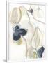 Gramercy White