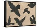 Canvas Black