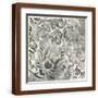 Brown Frame