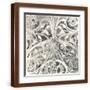Brown Frame