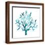 Brown Frame