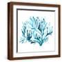 Brown Frame