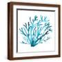 Brown Frame