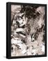 Essential Black