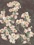 Laminate